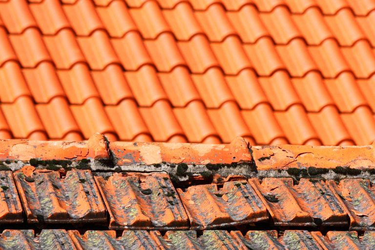 Why Painting & Epoxy Work Together - Painters Kurraba Point Professional Painting & Epoxy Flooring NSW